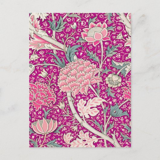 ピンク色のCray ポストカード (正面)