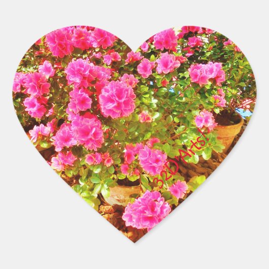 ピンク色のExvasanza、ハートシール、光沢 ハートシール (正面)