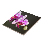 ピンク色エレガントの熱帯フローラの花 タイル (側面)