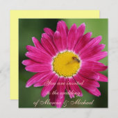 ピンク色彩の鮮やかデイジー 招待状 (正面/裏面)