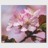 ピンク色素晴らしの桜の花の束 ラッピングペーパー (フラット)