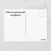 ピンク色鮮やかの紫色の円錐花序 ポストカード (裏面)