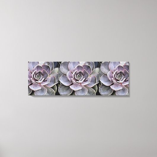 ピンク色 – ブルーグレーEcheveria "バラ"多肉強計画 キャンバスプリント (正面)