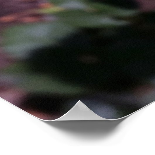 ピンク色 ポスター (角)