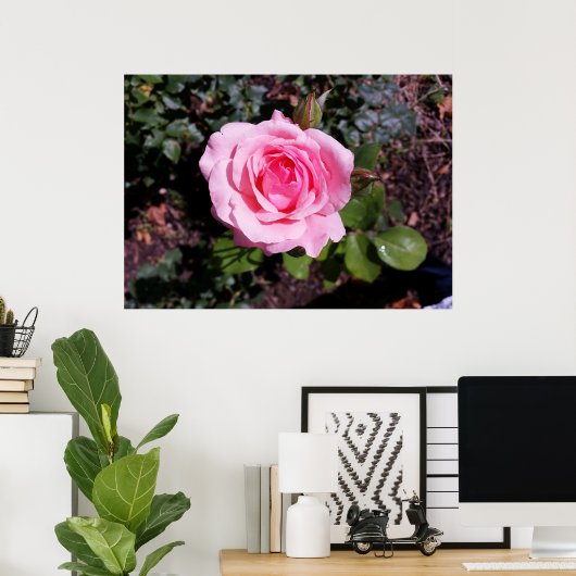 ピンク色 ポスター (ホームオフィス)