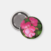 ピンク花の写真 マグネット (正面/裏面)