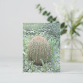 ピンク花びらサボテンの写真はがき ポストカード (スタンド正面)