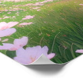 ピンク花びら春 ポスター (角)