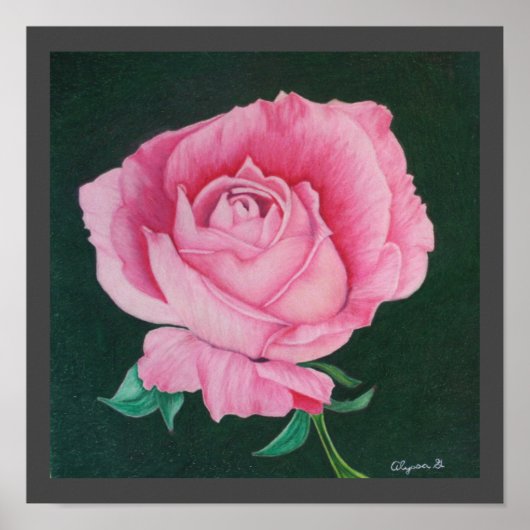 ピンク花びら12"x12"プリント ポスター (正面)