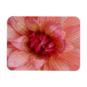 ピンク花びら マグネット (横)