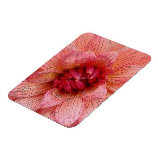 ピンク花びら マグネット (左側)