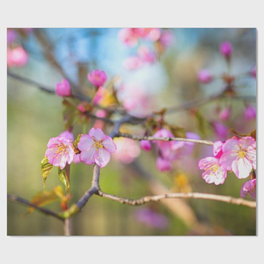 ピンク芸術的の桜の花がさくらんぼ園 ラッピングペーパー (フラット)