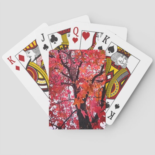 ピンク葉色 トランプ (裏面)