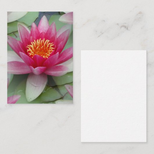 ピンク蓮の水ゆりフラットノートカード ノートカード (正面/裏面)