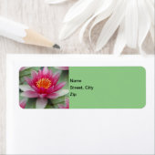 ピンク蓮の水百合 ラベル (インサイチュ)