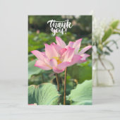 ピンク蓮の花ありがとう サンキューカード (スタンド正面)