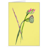 ピンク蓮の花仏芸術 (正面)