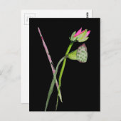 ピンク蓮の花仏芸術 ポストカード (正面/裏面)