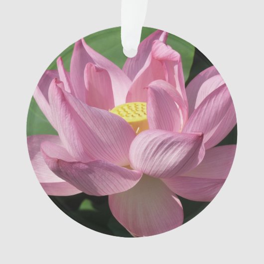 ピンク蓮の花IV オーナメント (正面)