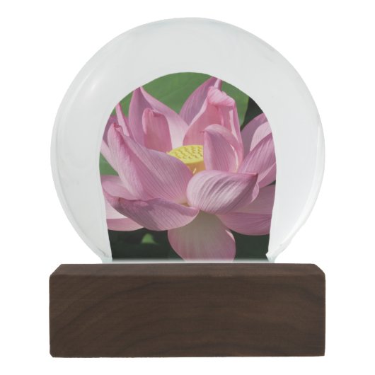 ピンク蓮の花IV スノーグローブ (裏面)