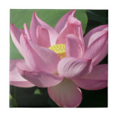ピンク蓮の花IV タイル (正面)