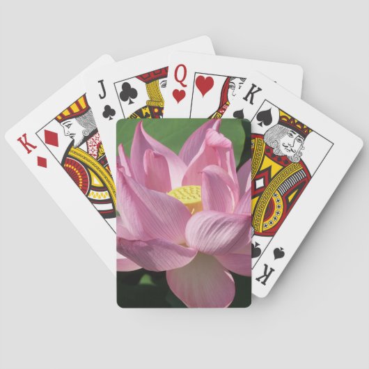 ピンク蓮の花IV トランプ (裏面)