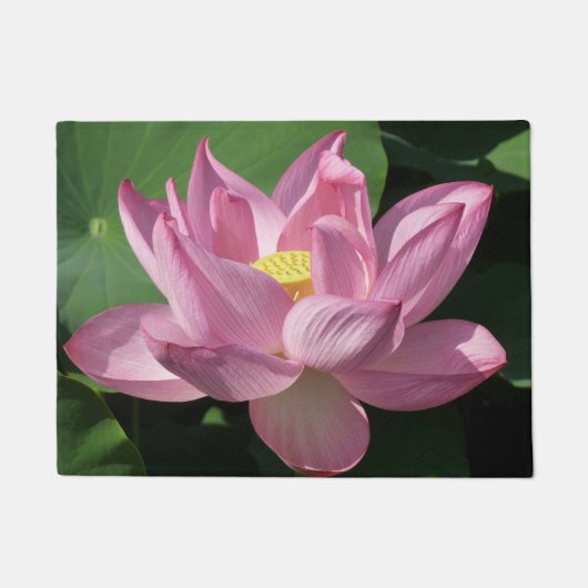 ピンク蓮の花IV ドアマット (正面)