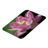 ピンク蓮の花IV マグネット (左側)