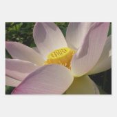 ピンク蓮の花IV ラッピングペーパーシート (正面3)