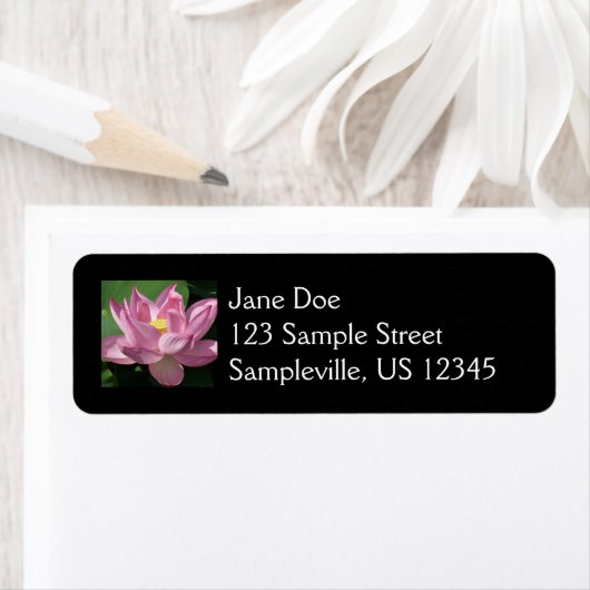 ピンク蓮の花IV ラベル (インサイチュ)