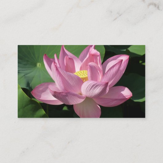 ピンク蓮の花IV 名刺 (裏面)