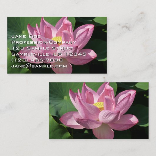 ピンク蓮の花IV 名刺 (正面/裏面)