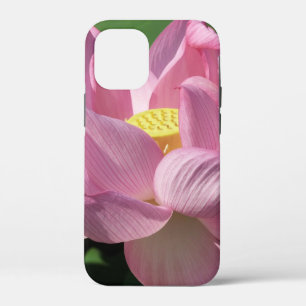 ピンク蓮の花IV iPhone 12 MINI ケース