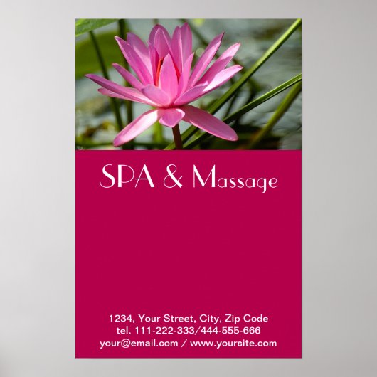 ピンク蓮 ポスター (正面)