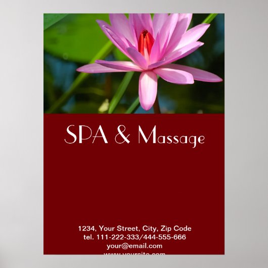 ピンク蓮 ポスター (正面)