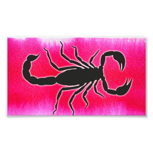 ピンク蠍座 フォトプリント            (正面)