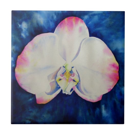 ピンク赤面蘭 タイル (正面)