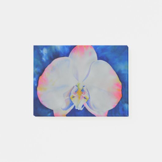 ピンク赤面蘭 ポストイット (正面)