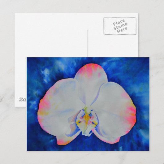 ピンク赤面蘭 ポストカード (正面/裏面)