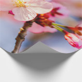 ピンク輝くの桜の花の美しい ラッピングペーパー (角)