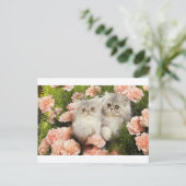 ピンク遊の花を咲かせたペルシャ猫 ポストカード (スタンド正面)