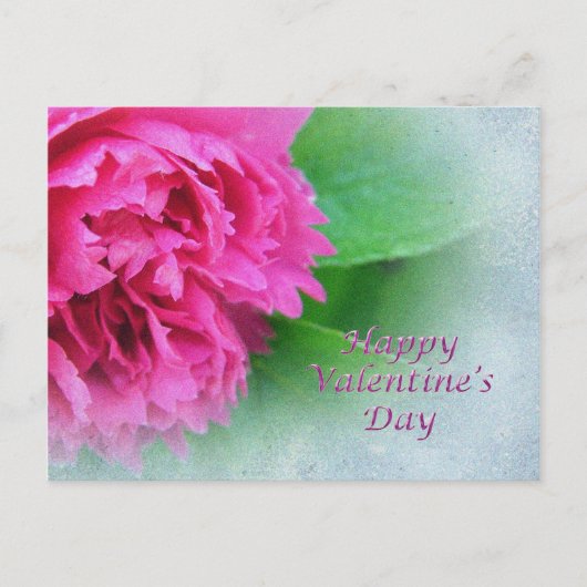 ピンク野生バラハッピーバレンタインデー シーズンポストカード (正面)