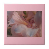 ピンク開花 タイル (正面)