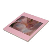 ピンク開花 タイル (側面)