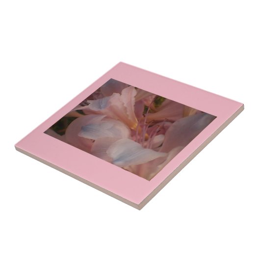 ピンク開花 タイル (側面)