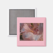 ピンク開花 マグネット (正面/裏面)