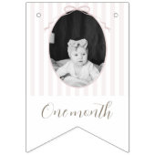 ピンク間抜けグース12ヶ月フォトバナー バンティングフラッグ (第2の旗)