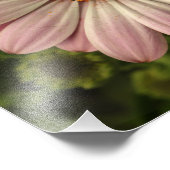 ピンク骨神経症 フォトプリント            (角)