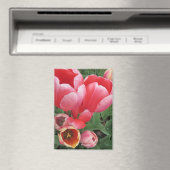 ピンク鮮やかのチューリップ写真 マグネット (インサイチュ (食洗機))