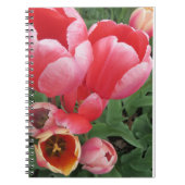 ピンク鮮やかのチューリップ花写真 –  ノートブック (正面)
